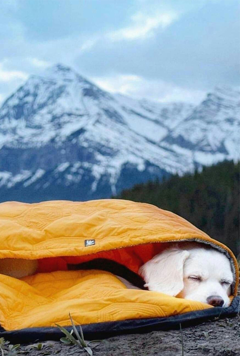 Kain Kantong Tidur